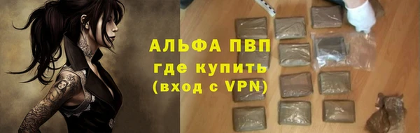 ГАЛЛЮЦИНОГЕННЫЕ ГРИБЫ Гусиноозёрск