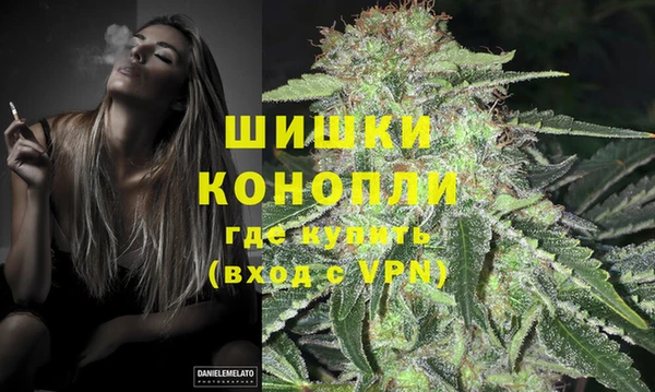 ГАЛЛЮЦИНОГЕННЫЕ ГРИБЫ Гусиноозёрск