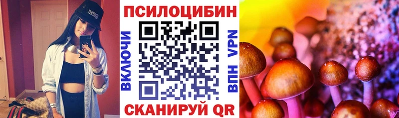 Галлюциногенные грибы MAGIC MUSHROOMS  Купить  Аткарск 